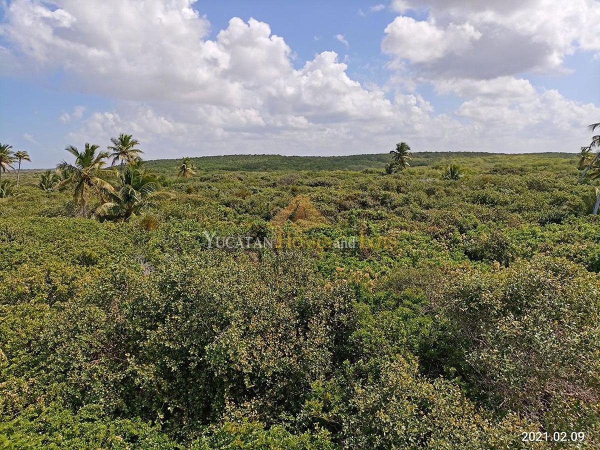 Beachfront Villa In Sisal Yucatan Mexico Екстериор снимка