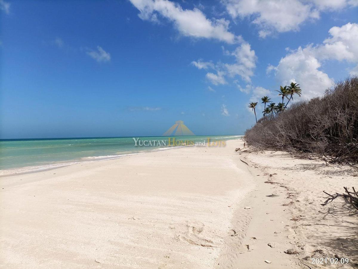 Beachfront Villa In Sisal Yucatan Mexico Екстериор снимка